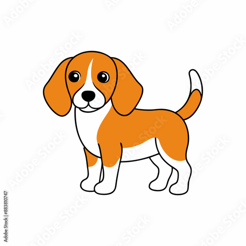 beagle dog isolated on white
