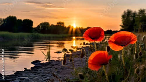 sunset on the lake