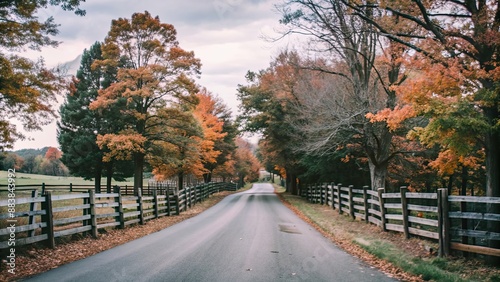 Cozy rural road surrounded by autumn foliage and old wooden fences, rural, road, countryside, nostalgia, warm, memories, country