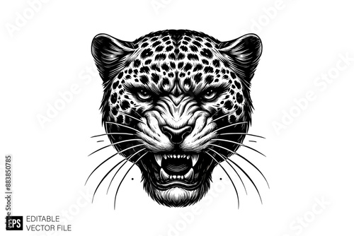 Black and white leopard head vector illustration design
