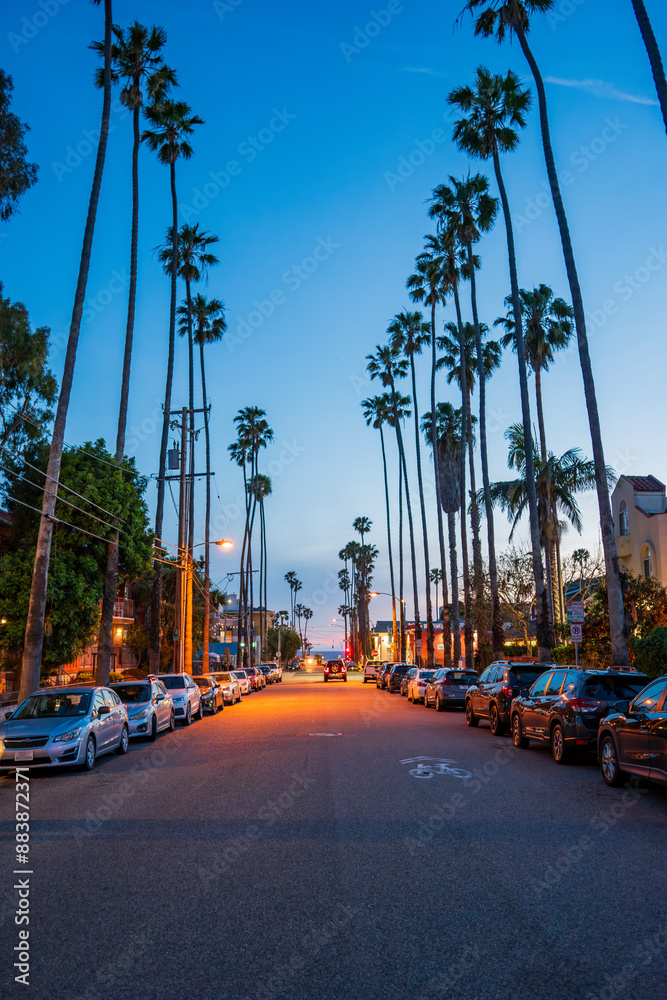 Naklejka premium Dusk on a street in Santa Monica, California, with the typical tall palm trees, sea in the distance and parked cars. 
