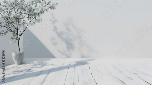 白い背景と植物