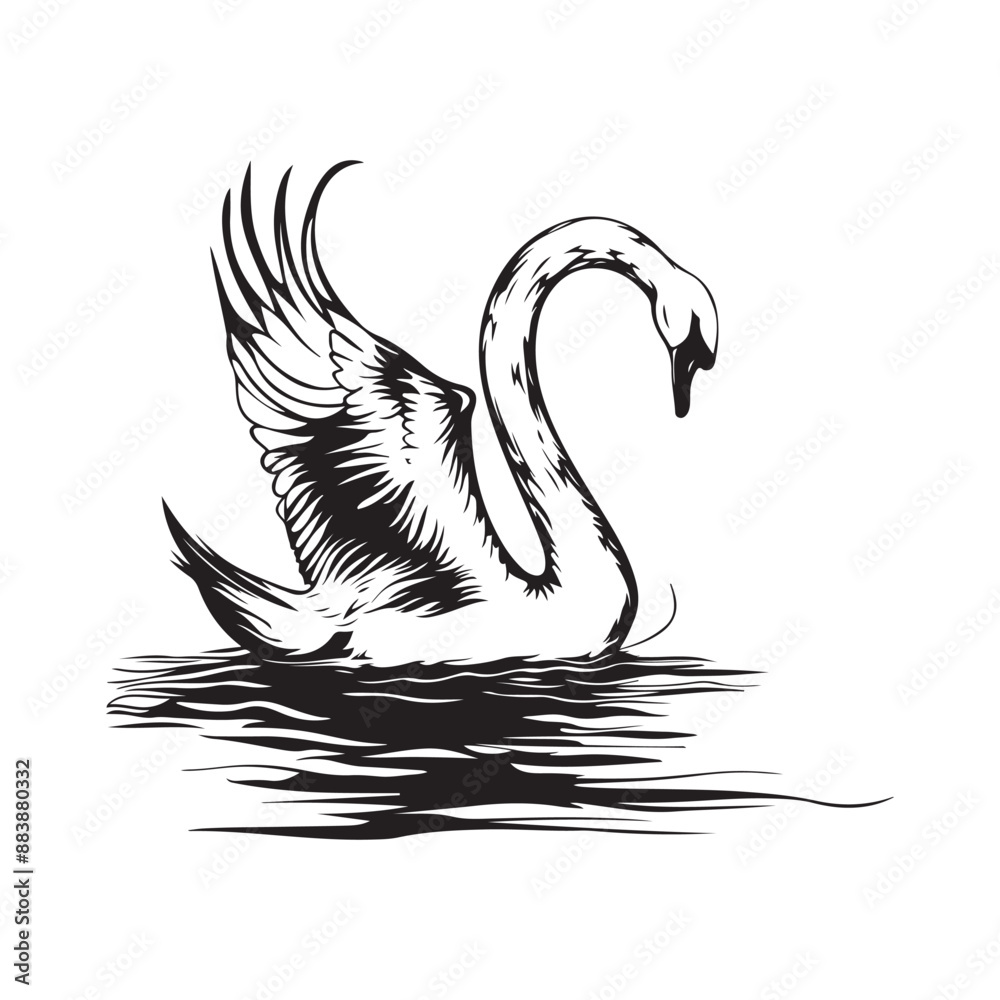 Swan on the lake image vector. Black and white swan isolated on white background Swan on the lake image vector. Black and white swan isolated on white background