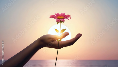 Obraz na płótnie Closeup of hand holding beautiful flower at sunset, sun and sky background, love and romance, nature template, copy space area, w salonie