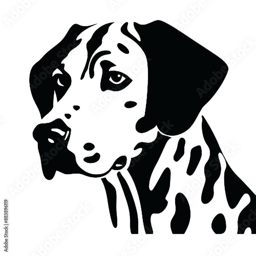 dalmatian dog isolated on white