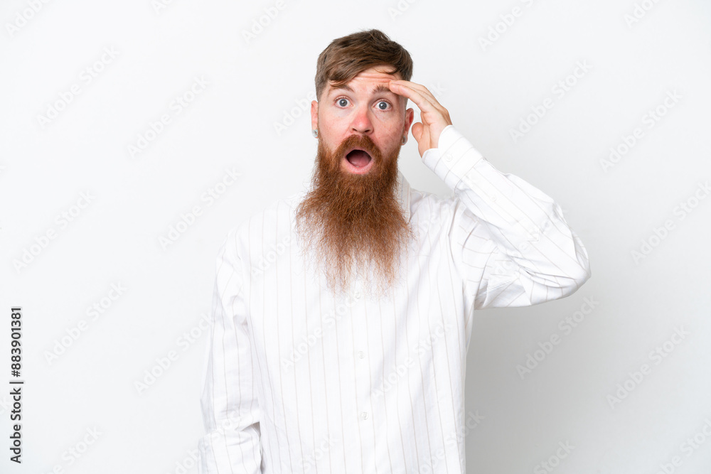 Redhead man with long beard isolated on white background has realized something and intending the solution Redhead man with long beard isolated on white background has realized something and intending the solution