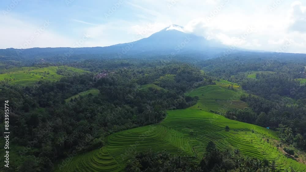 Aerial view of Tabanan Rice paddies in Tabanan, Bali, Indonesia Aerial view of Tabanan Rice paddies in Tabanan, Bali, Indonesia