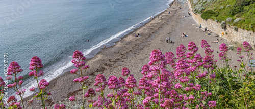 Photography Dublin, Ireland - May 12 2024 Dalkey coast in South Dublin