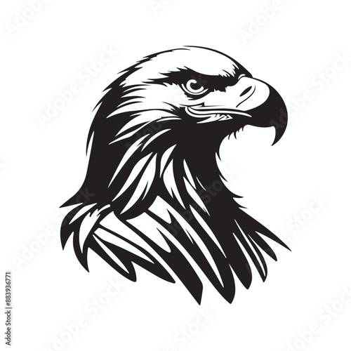 Eagle Head Vector silhouette illustration, Black.