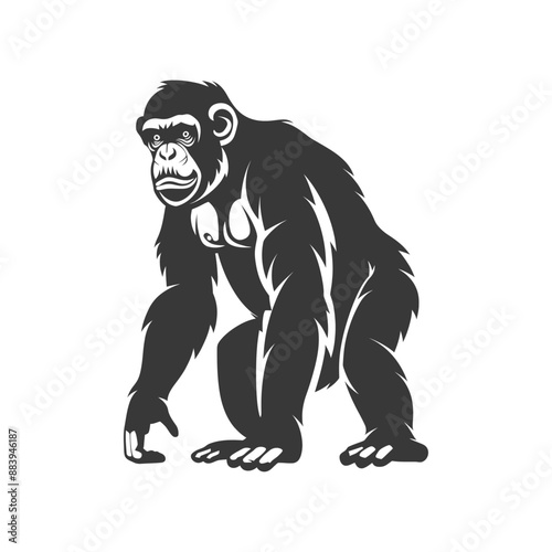 Illustration of a walking chimpanzee in a bold and minimalist style