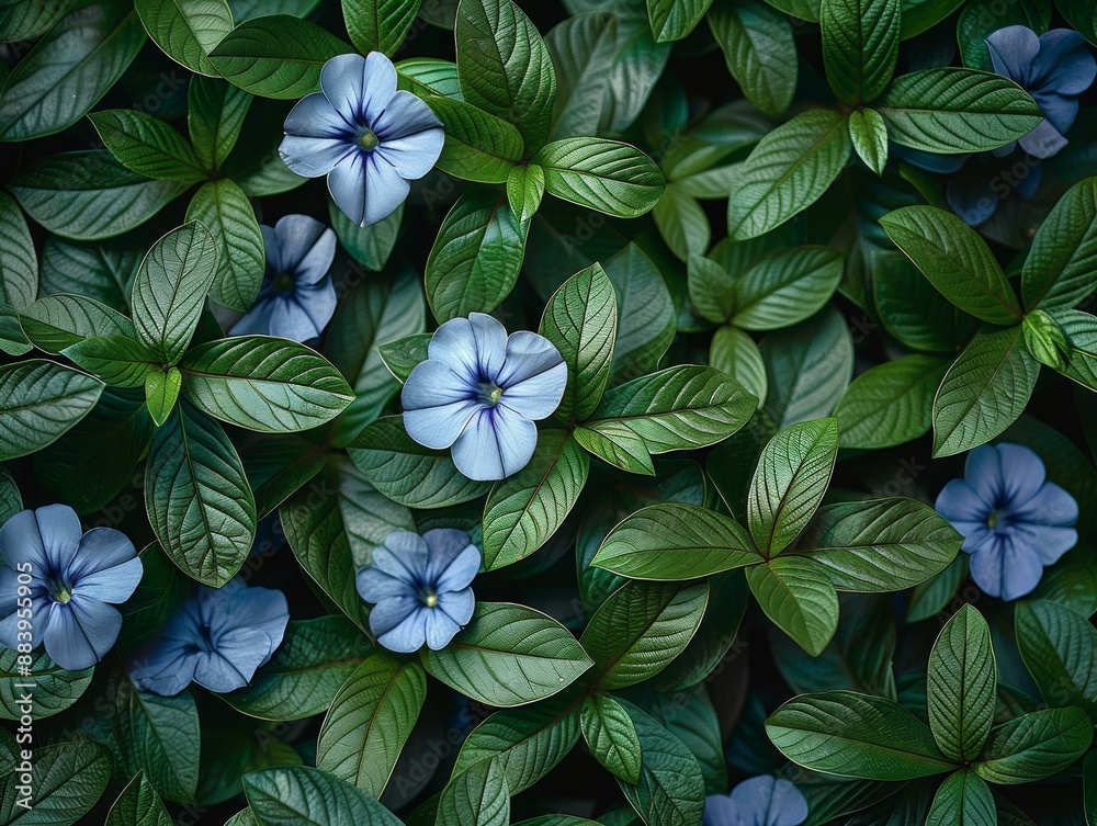 Vibrant Blue Flowers Amidst Green Leaves, Keyword Mix Vibrant Blue Flowers Amidst Green Leaves, Keyword Mix