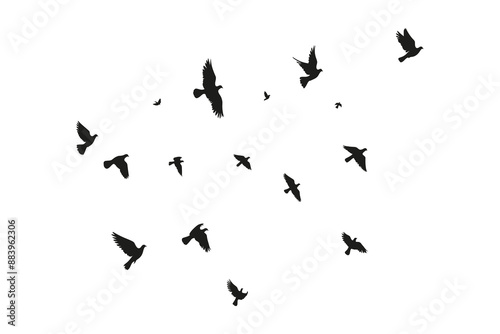 Flock of Birds Flying in Clear Sky