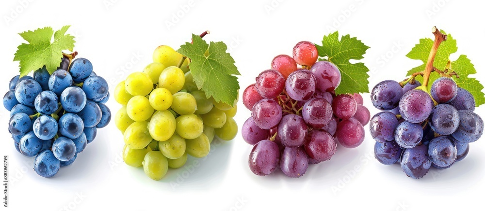 Four Bunches of Grapes in Different Colors Four Bunches of Grapes in Different Colors