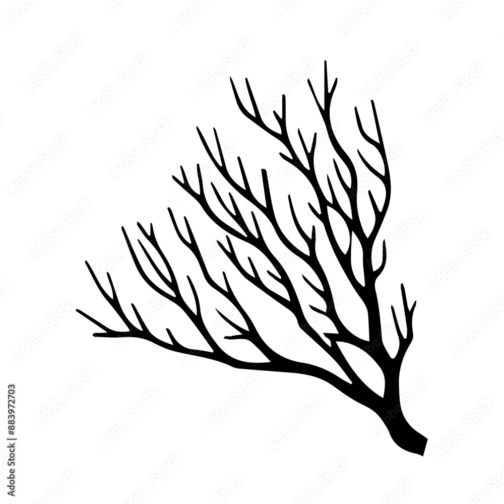 Fototapeta premium tree branches clip art