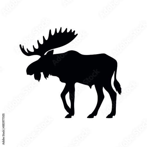 moose vector isolated on white background. Vector illustration photo