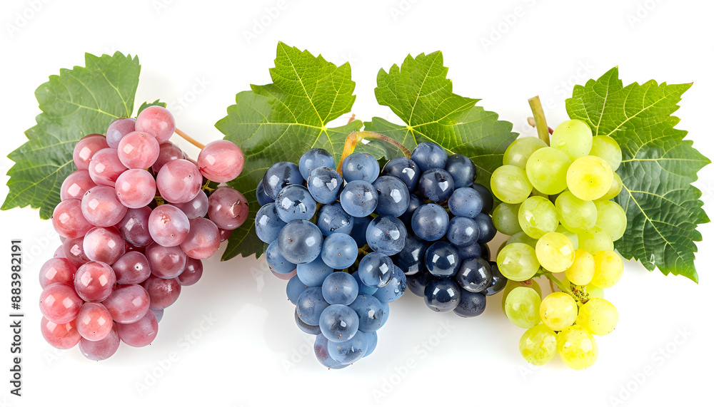 green pink and blue grapes with leaves isolated on the white background green pink and blue grapes with leaves isolated on the white background