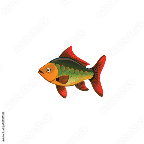 goldfish on white background
