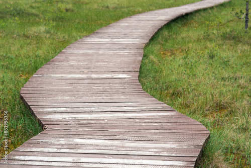 wooden walkway on educational nature trail in the protected peat fen landscape © Evgeny