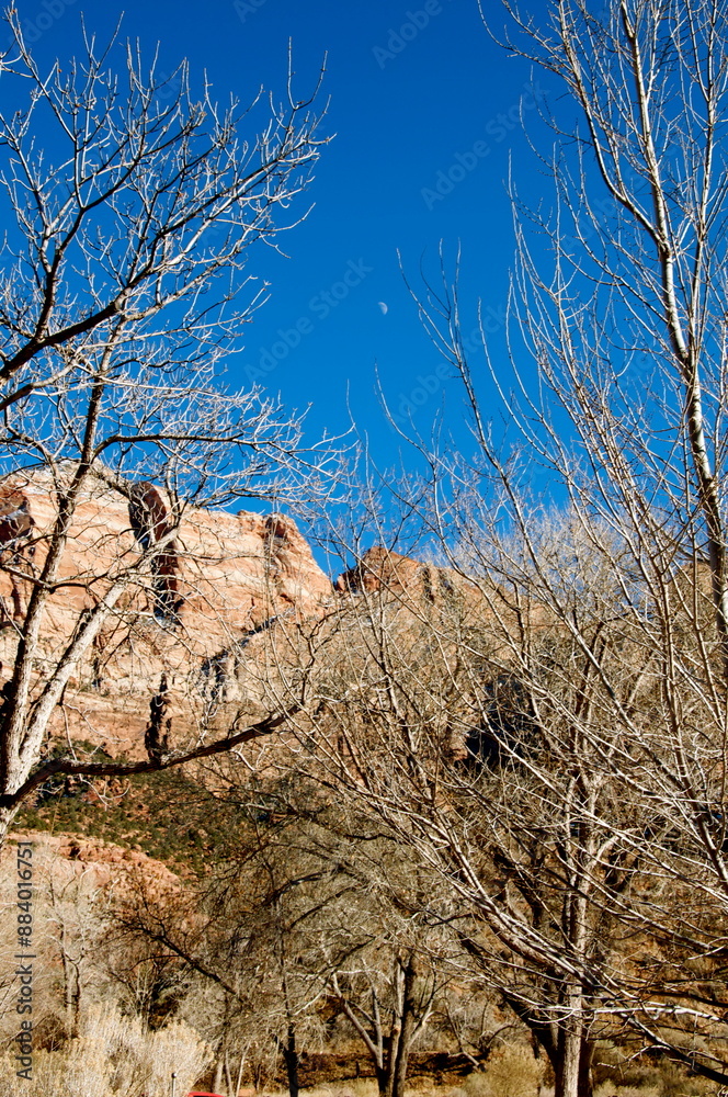 Fototapeta premium Experience the canyons and hiking paths of Zion National Park in Utah - a remote and desolate place where it is good to get away from it all