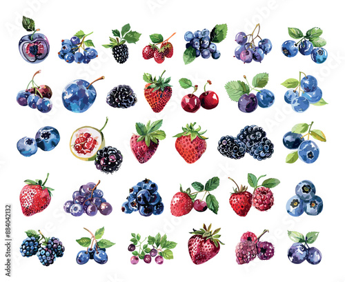 Berry Icons Vibrant Watercolor Low Detailed High Quality Detailed Colorful Modern Illustrations with Watercolour Various Berries Icons Set Hand Painted Botanical Artistic Fruits