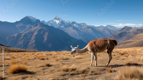 Elegant guanaco gazing in an expansive mountain landscape with clear blue sky and towering peaks in the background.