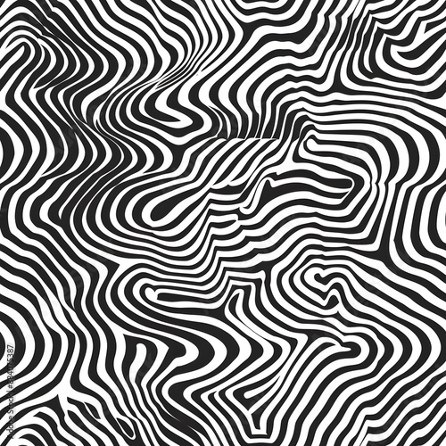 A black and white zigzag pattern with a wave-like shape. The pattern is very intricate and has a lot of detail. The image has a very modern and artistic feel to it