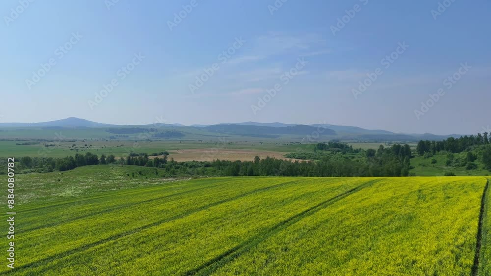 drone flight over green fields, yellow fields with plantings drone flight over green fields, yellow fields with plantings