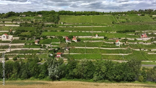 elephoto shot of a vineyard near Freyburg. Unstrut river below the vineyard. Parallax effect through telephoto shot. Northernmost wine-growing region in Europe. Travel destination in Saxony-Anhalt.