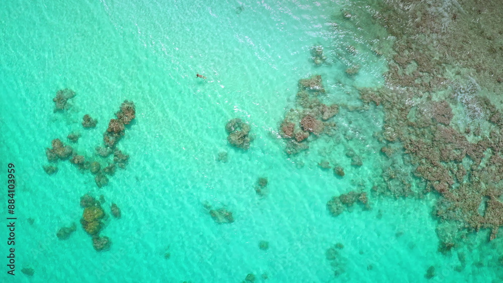 Obraz premium Aerial woman swimming crystal turquoise sea water. Female in bikini relax and enjoy outdoor lifestyle travel on summer vacation. Explore coral reef underwater life. Travel on summer holiday vacation