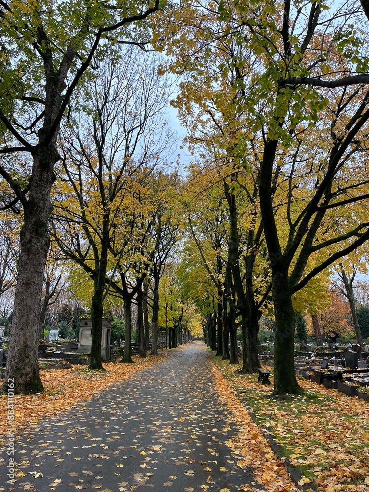 Naklejka premium Autumn in France