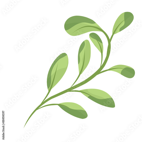 Monogram green leaf 