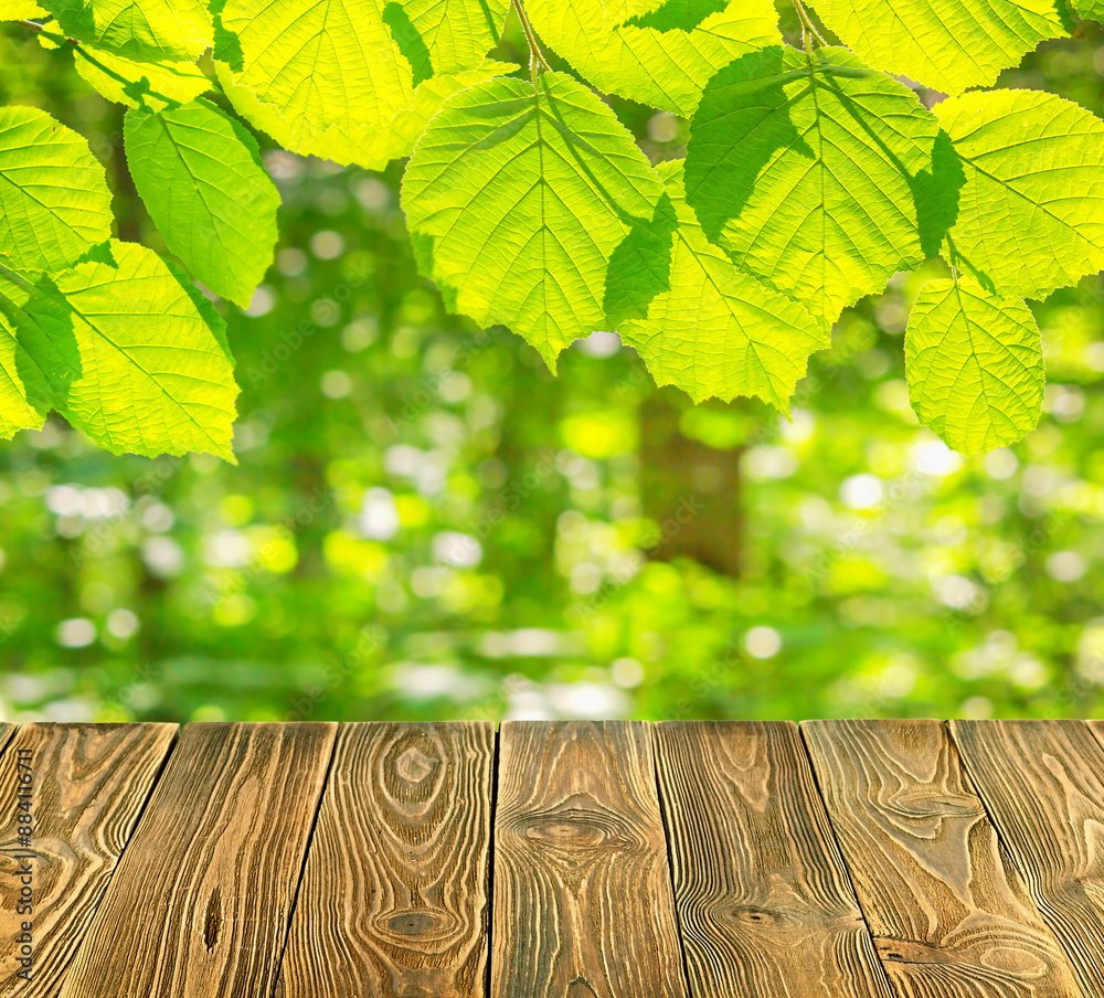 Empty of wood table top on blur of fresh green abstract background from leaves. For montage product display or design key visual layout Empty of wood table top on blur of fresh green abstract background from leaves. For montage product display or design key visual layout