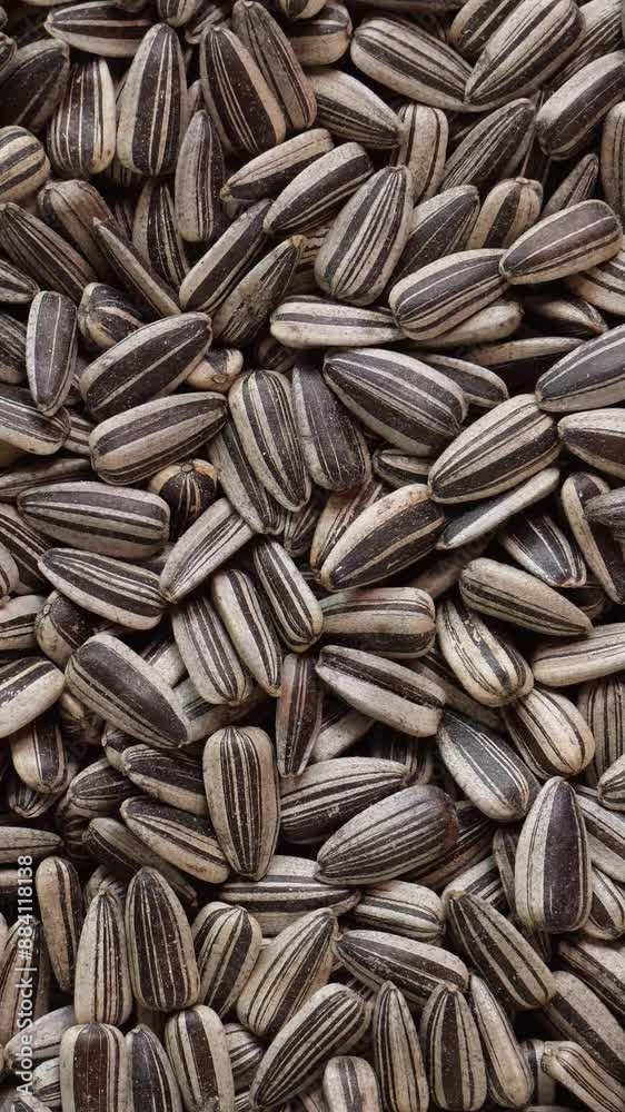 Rotating sunflower seeds close-up. 4k vertical concept Rotating sunflower seeds close-up. 4k vertical concept