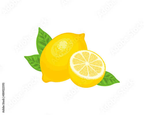Lemon whole and half with green leaves. Vector cartoon illustration of fresh citrus fruit.