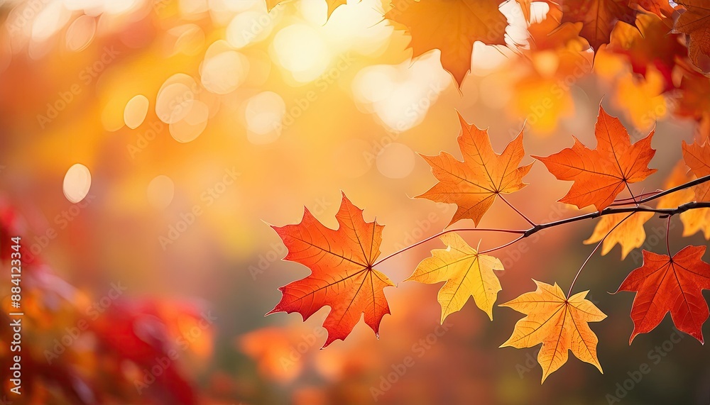 Fall background, leaf copy space background, A vibrant autumn background featuring a gradient of warm orange Fall background, leaf copy space background, A vibrant autumn background featuring a gradient of warm orange