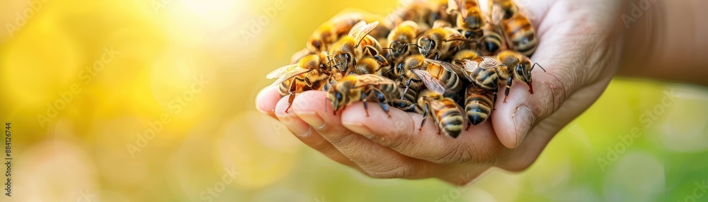 Gentle Beekeeping Promoting Natural Hive Health Pollinator Wellbeing Sustainable Practices for Honeybee Conservation Gentle Beekeeping Promoting Natural Hive Health Pollinator Wellbeing Sustainable Practices for Honeybee Conservation