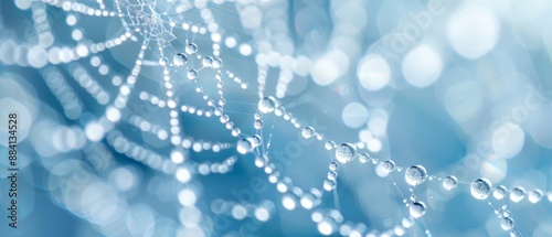  A macrod shot of a spider web adorned with water droplets, against a backdrop of soft, blue bokeh lighting photo