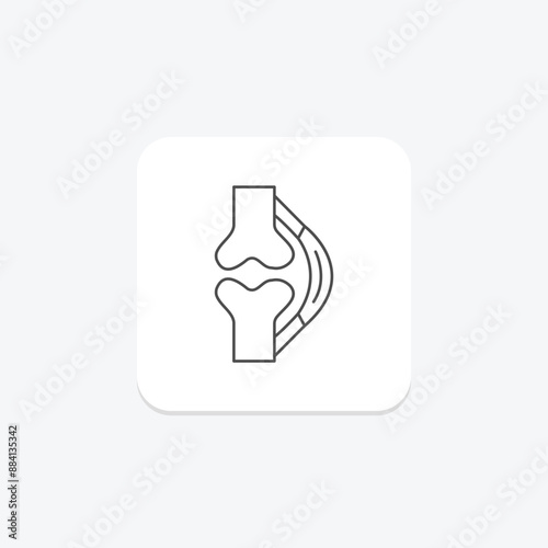 Tendons thinline icon , vector, pixel perfect, illustrator file