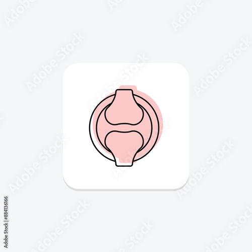 Ligaments color shadow thinline icon , vector, pixel perfect, illustrator file
