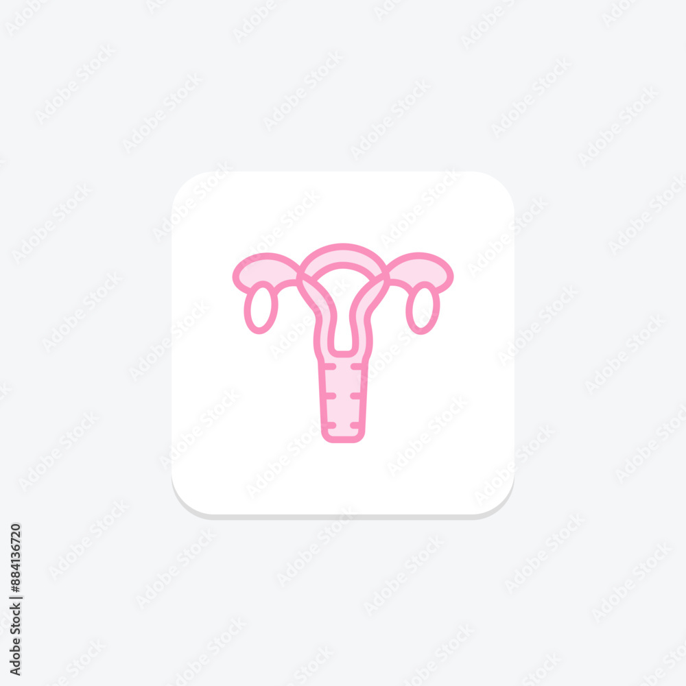 Ovaries duotone line icon , vector, pixel perfect, illustrator file Ovaries duotone line icon , vector, pixel perfect, illustrator file