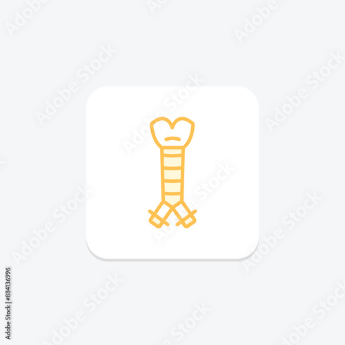 Trachea duotone line icon , vector, pixel perfect, illustrator file