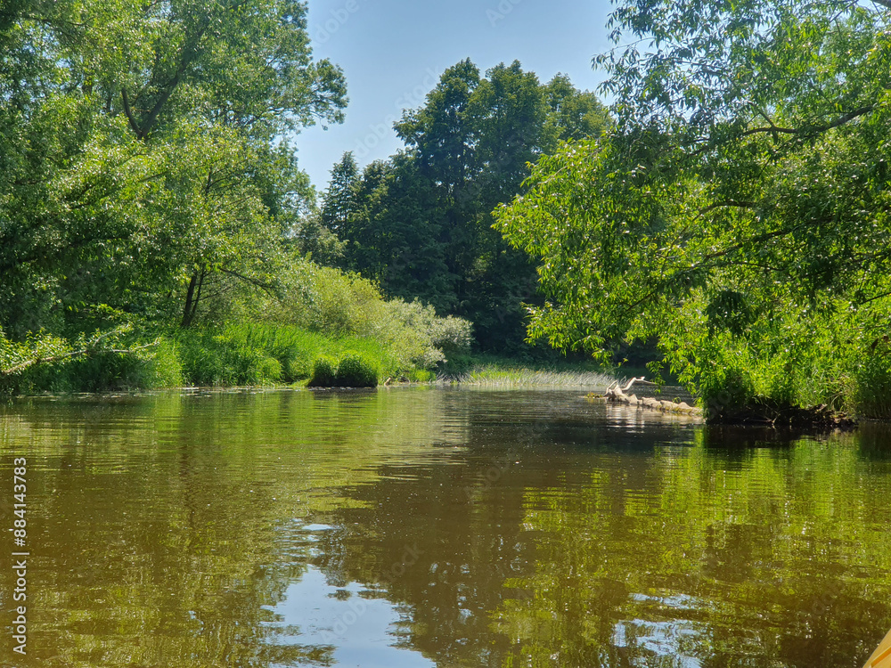 lake in the forest, trees around a pond, overgrown pond, summer landscape lake in the forest, trees around a pond, overgrown pond, summer landscape