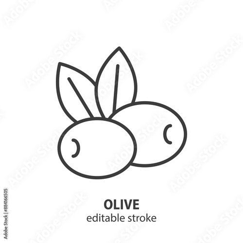 Olive with leaves line icon. Symbol olive oil vector illustration. Editable stroke.