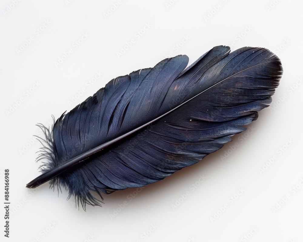 Create a high-quality photograph of a single black feather on a white background, highlighting texture and detail. Create a high-quality photograph of a single black feather on a white background, highlighting texture and detail.