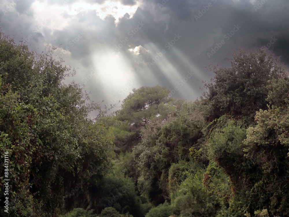 Raggi di sole che brillano attraverso le nuvole nella foresta di montagna, Sfondo della natura 807