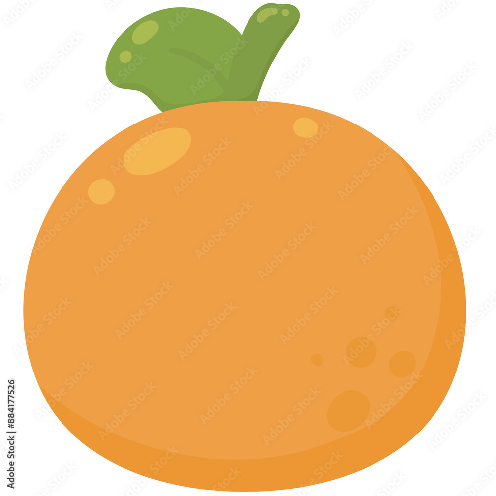 illustration of orange illustration of orange