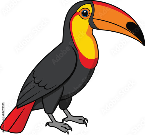 A beautiful bird Keel-billed toucan. Art & Illustration.