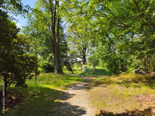 Schlossgarten und Barockschloss Rammenau photo