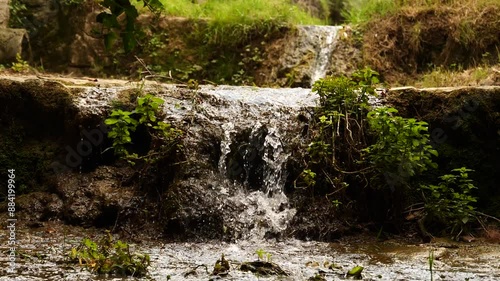 Crystal clear water in small stream in the forest.