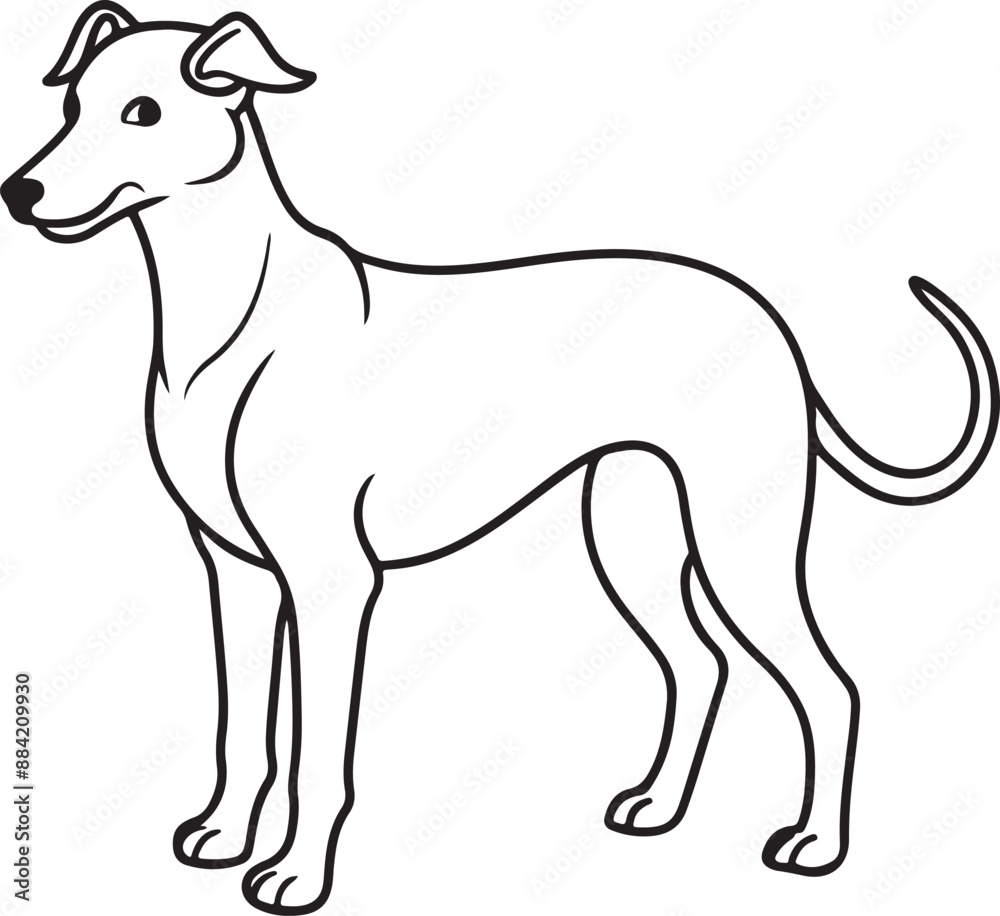 Vector silhouette of a dog isolated on a white background Vector silhouette of a dog isolated on a white background
